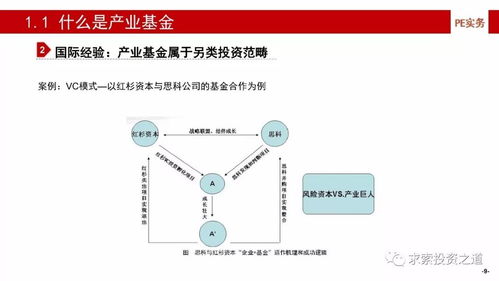 產(chǎn)業(yè)基金的建立、投資策略、投后管理與風(fēng)險(xiǎn)控制